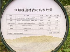 -张坝桂圆林公园