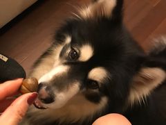 -粒上皇(上海瞿溪路店)