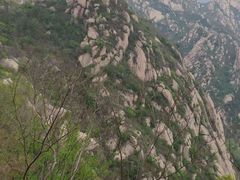 -北京凤凰岭