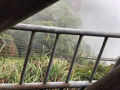 -七仙岭温泉国家森林公园