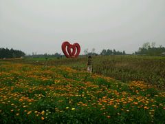 -北纬44度·金珠花海休闲农业旅游景区