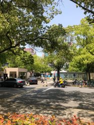 -上海交通大学医学院附属上海儿童医学中心(陆家嘴总院区)