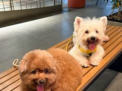 -星巴克(南宁华润幸福里店)