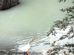 -海螺沟风景区