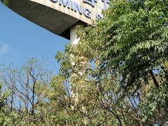 -佛山高明客运站