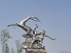 -广富林郊野公园