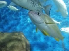 -大连圣亚海洋世界