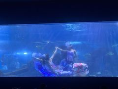 -重庆欢乐海底世界