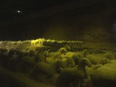 -汉景帝阳陵博物院