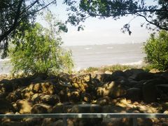 -上海吴淞炮台湾国家湿地公园