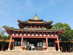 -顺峰山公园