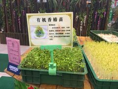 -森谷美食公园(杨行店)