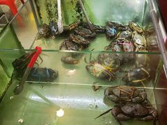 -大茄来海鲜餐厅(亚洲城分行)