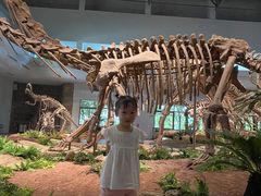 -自贡恐龙博物馆