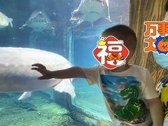 -华夏文旅海洋公园