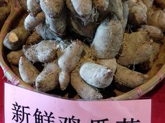 -优之名鹅城