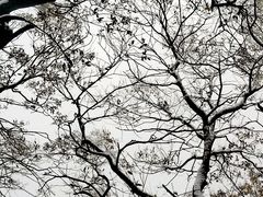 -终南山南五台景区