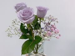 -喜茶(上海兴业太古汇店)