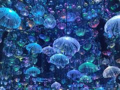 -天津梵高星空艺术馆(天河城旗舰店)