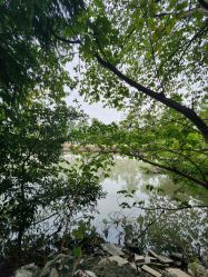 -昆城一品国际宴会中心·宴会厅