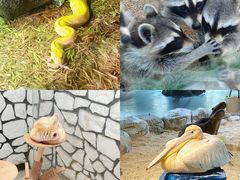 -海合安武汉极地海洋公园