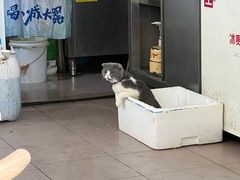 -清真·白家牛肉罩火烧老店(育才街店)