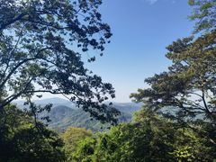 -黄埔油麻山森林公园