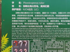 -海南热带野生动植物园