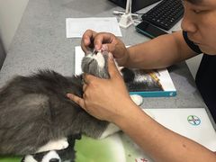 -萌兽医馆·绝育·24小时内科·宠物医院(德胜店)