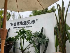 -云里小坐·小院里·团建·宴请·下午茶(三圣乡店)