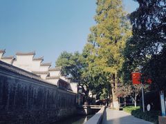 -月湖公园