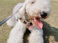 -杭州城北体育公园