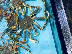 -渔民新村(番禺总店)