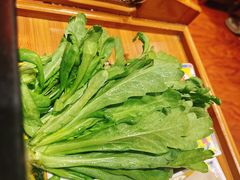 茼蒿-芦月轩羊蝎子(劲松店)