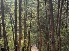 -黄崖洞文化旅游区