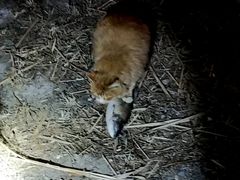 -永定河休闲森林公园