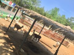 -西安秦岭野生动物园