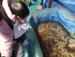 -酷嗒动物文化乐园(cutezoo西溪乐天城店)