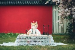 -WPlus明星肖像亲子全家福摄影