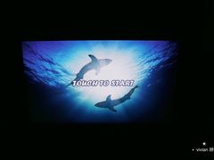 -亚特兰蒂斯水世界冒险乐园