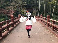 -紫霞湖公园