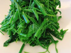 凉拌丝瓜尖-玉华宫宾馆·餐厅(铜川驻京办店)