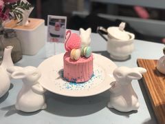 火烈鸟-随心小姐