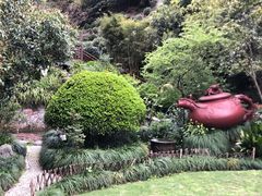 -十八棵（老龙井）御茶园(老龙井店)