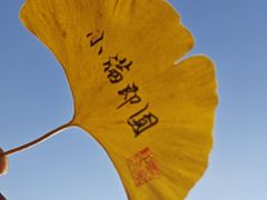 -辽东学院(南校区)