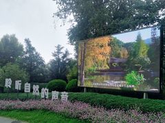 -云溪植物园