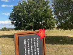 -五角枫生态旅游景区