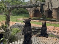 -海南热带野生动植物园