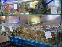 -船奇蒸汽海鲜·闽菜(八市海鲜总店)