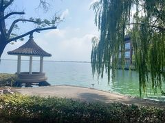 -同里湖度假村(二期店)